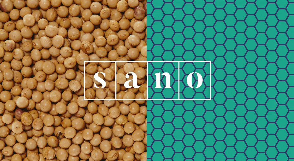 Sano食品品牌形象策略與企業vi設計，食品logo設計