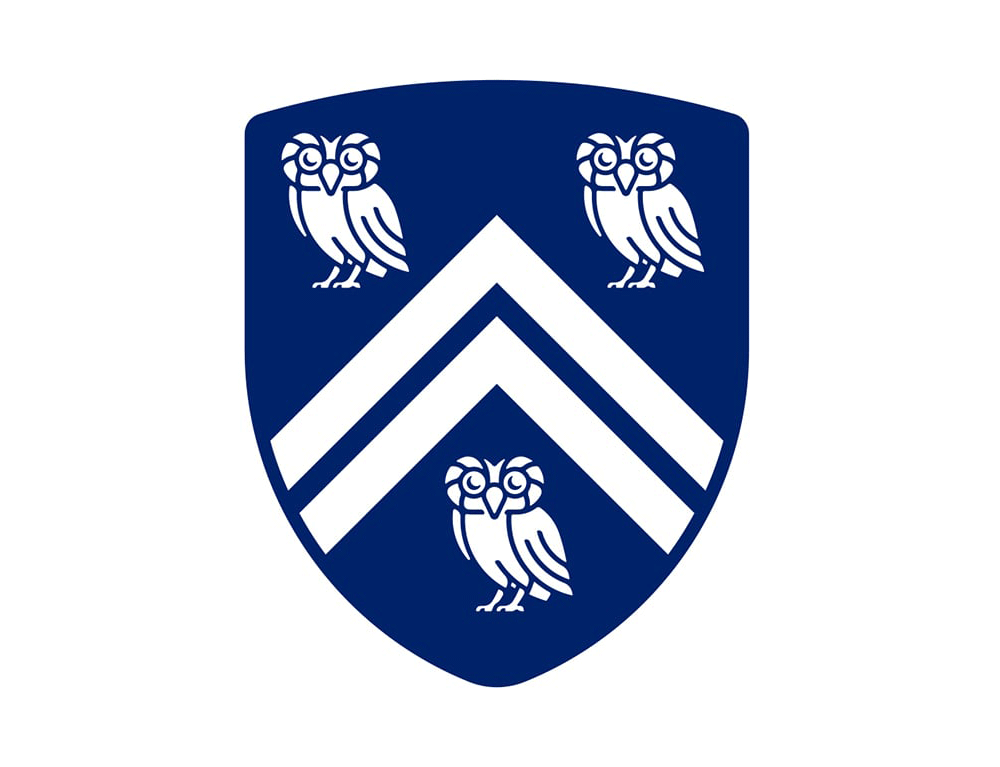 萊斯大學vi設(shè)計，品牌形象改造，logo設(shè)計